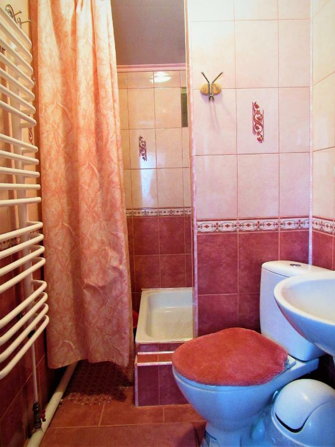 Відпочинок У Пронів Hotel Славске Стая снимка